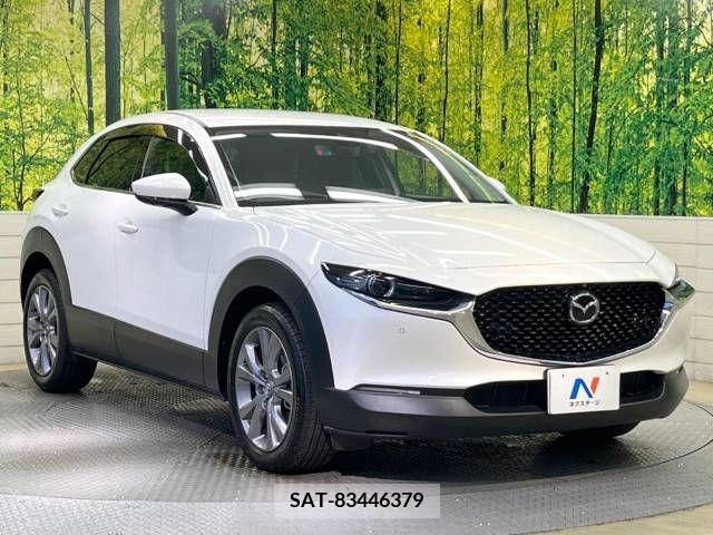Mazda CX-30 2021-06 244092-16