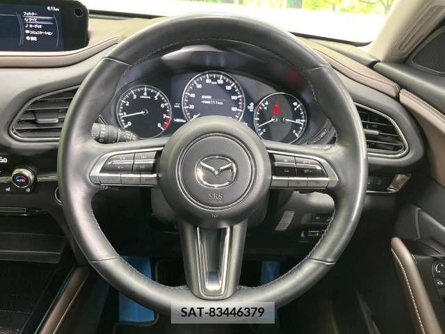 Mazda CX-30 2021-06 244092-8