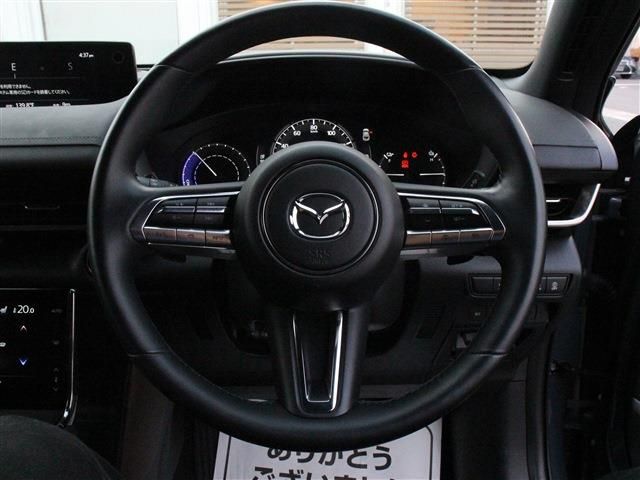 Mazda MX-30 2021-01 21671-15