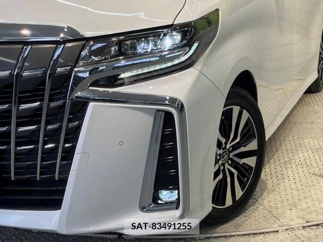 Toyota ALPHARD 2019-04 299480-13