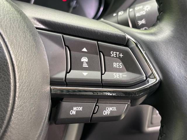 Mazda CX-8 2020-07 15895-4