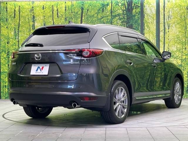 Mazda CX-8 2020-07 15895-18
