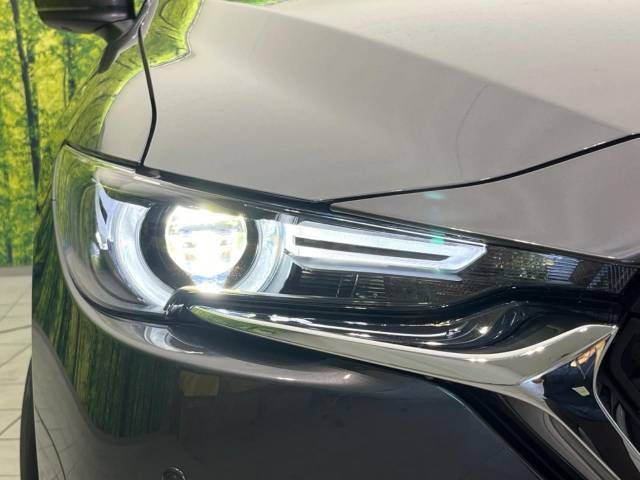 Mazda CX-8 2020-07 15895-13