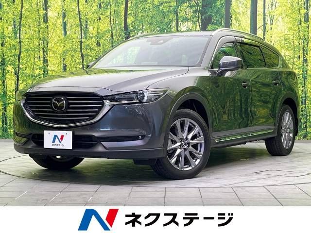 Mazda CX-8 2020-07 15895-0