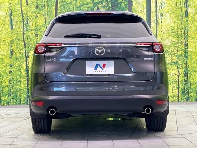 Mazda CX-8 2020-07 15895-16