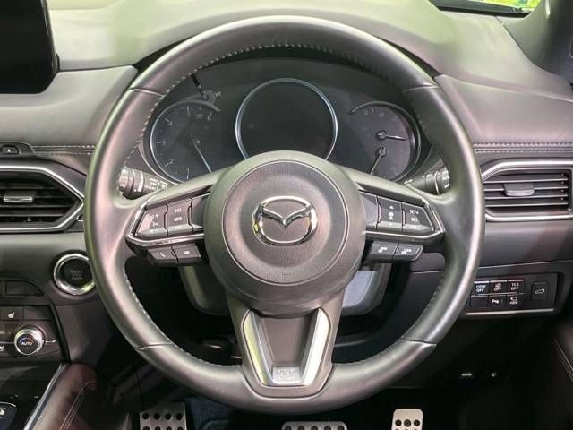 Mazda CX-8 2020-07 15895-12