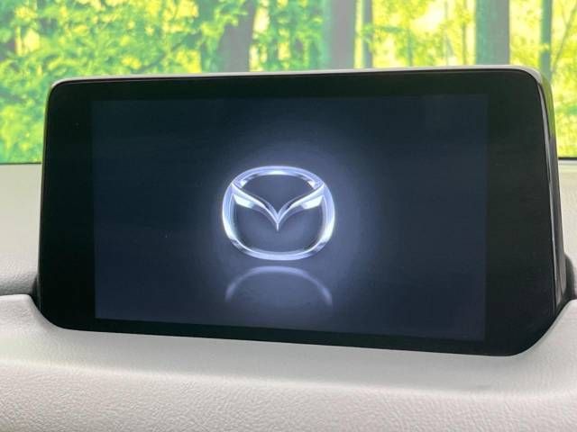 Mazda CX-8 2020-07 15895-2