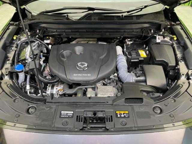 Mazda CX-8 2020-07 15895-19