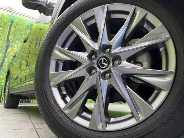 Mazda CX-8 2020-07 15895-14