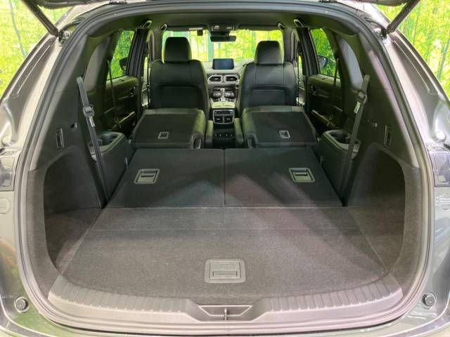 Mazda CX-8 2020-07 15895-11