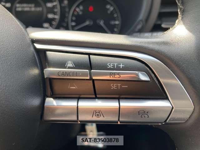Mazda MAZDA3 2020-01 301056-19