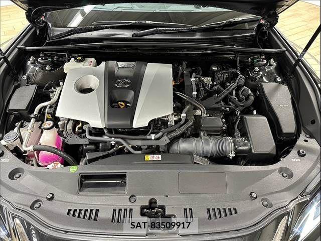 Lexus ES 2020-03 334395-13