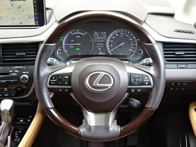 Lexus RX 2019-01 2251-15