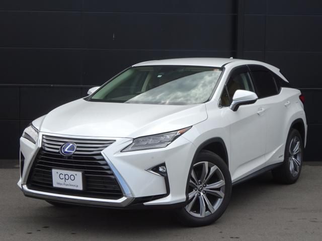 Lexus RX 2019-01 2251-0