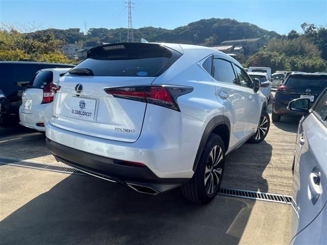 Lexus NX 2019-11 187422-5