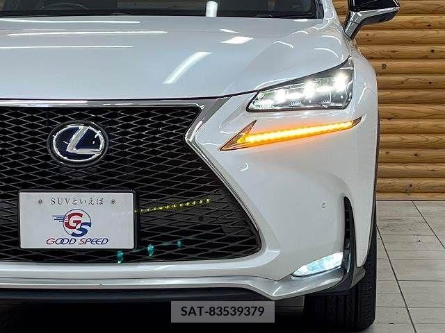 Lexus NX 2015-08 214749-10