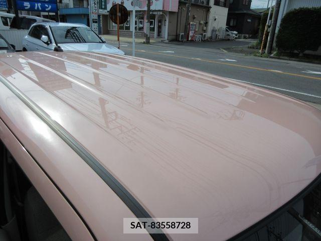 Suzuki LAPIN 2019-03 305728-8