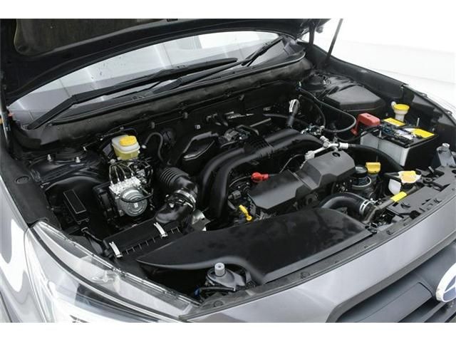 Subaru OUTBACK 2018-10 25228-19
