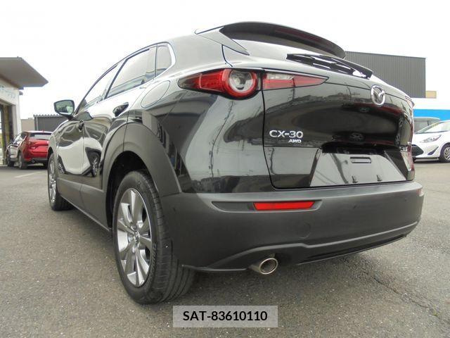 Mazda CX-30 2019-09 265991-2