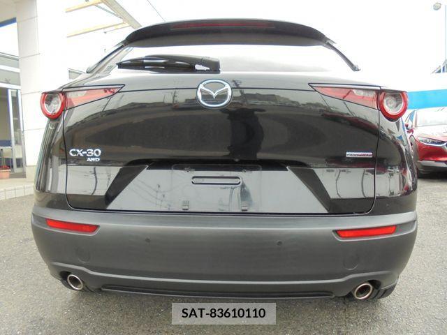 Mazda CX-30 2019-09 265991-9