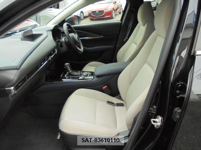 Mazda CX-30 2019-09 265991-12