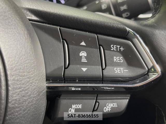 Mazda CX-8 2019-09 266178-5