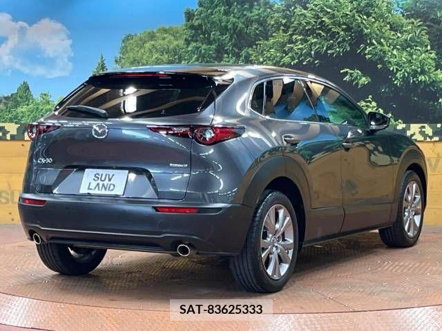 Mazda CX-30 2020-01 358509-17