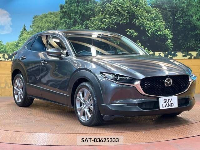 Mazda CX-30 2020-01 358509-16