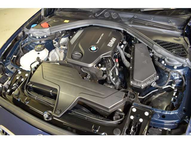Bmw 1 SERIES 2016-09 4095-8