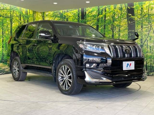 Toyota PRADO 2019-03 194642-16