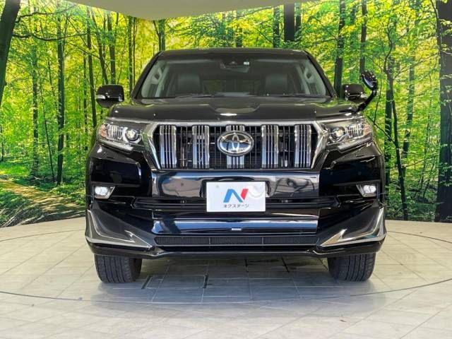 Toyota PRADO 2019-03 194642-14