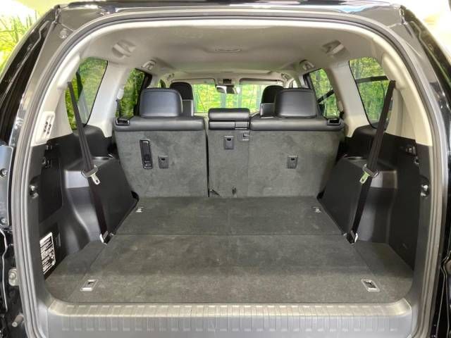 Toyota PRADO 2019-03 194642-10