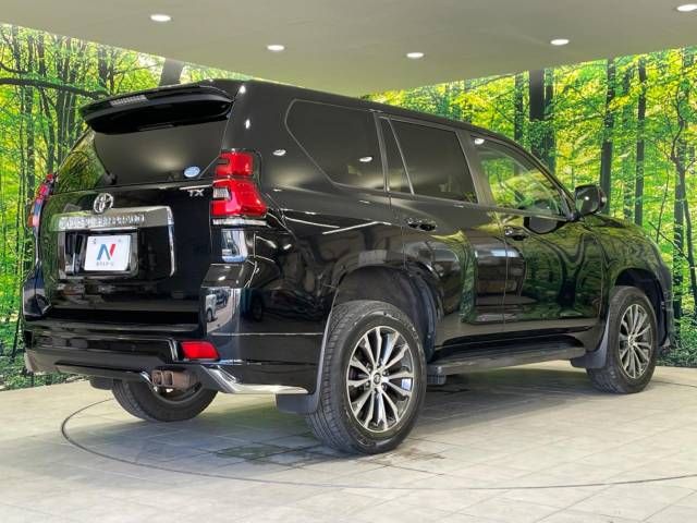 Toyota PRADO 2019-03 194642-17