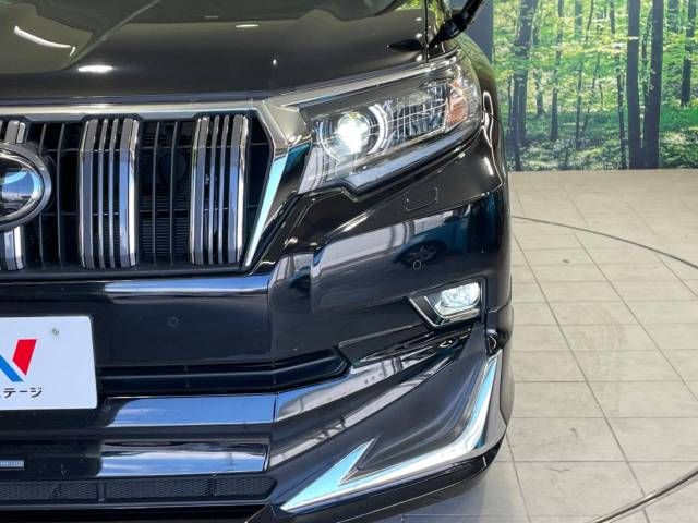 Toyota PRADO 2019-03 194642-12