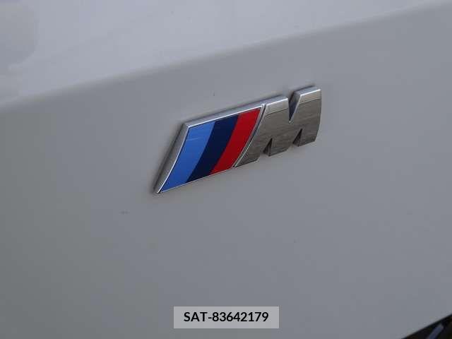 Bmw X7 2020-12 294236-10