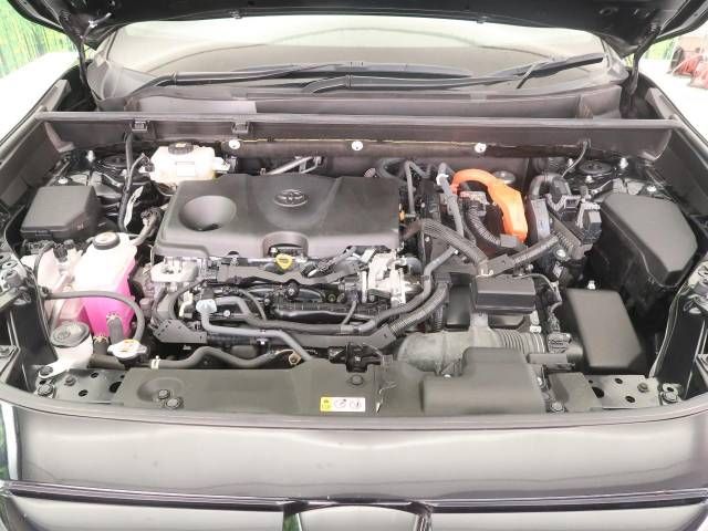 Toyota RAV4 2021-09 9934-18