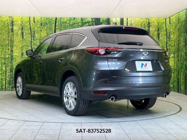 Mazda CX-8 2018-02 204937-18