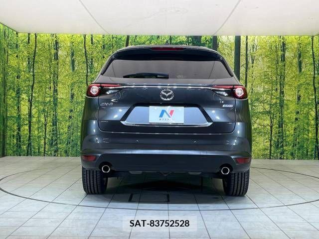 Mazda CX-8 2018-02 204937-16