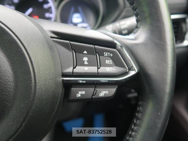 Mazda CX-8 2018-02 204937-5