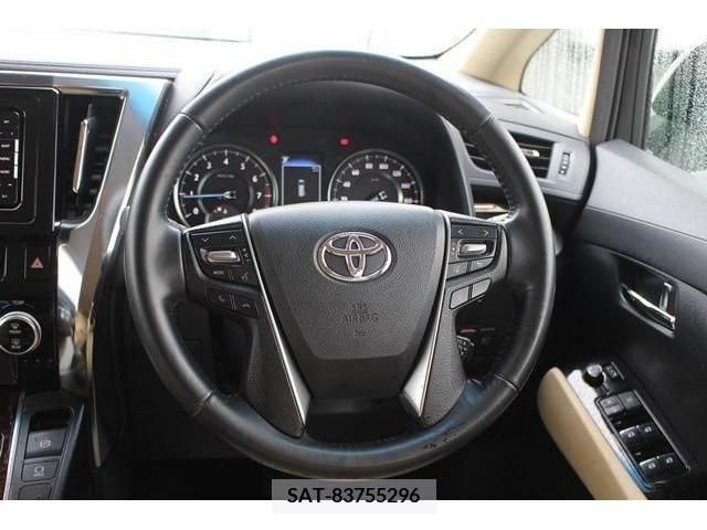 Toyota ALPHARD 2019-01 259244-16