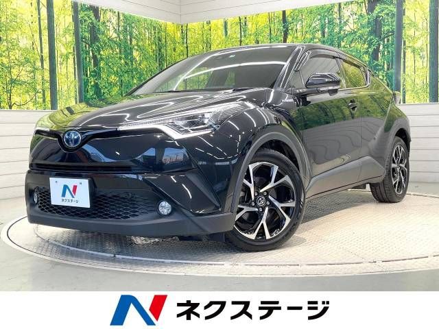 Toyota C-HR 2017-03 13578-0