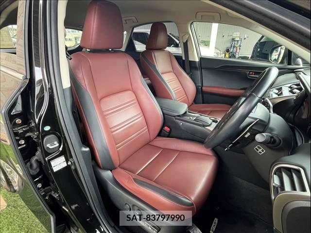 Lexus NX 2015-07 353989-4