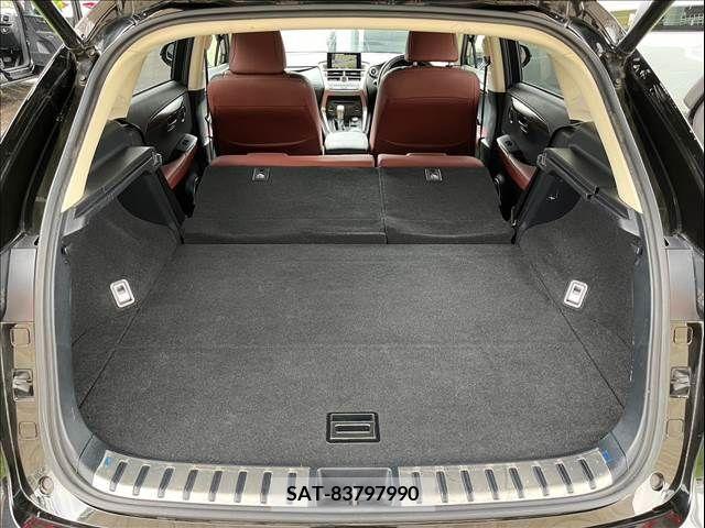 Lexus NX 2015-07 353989-17