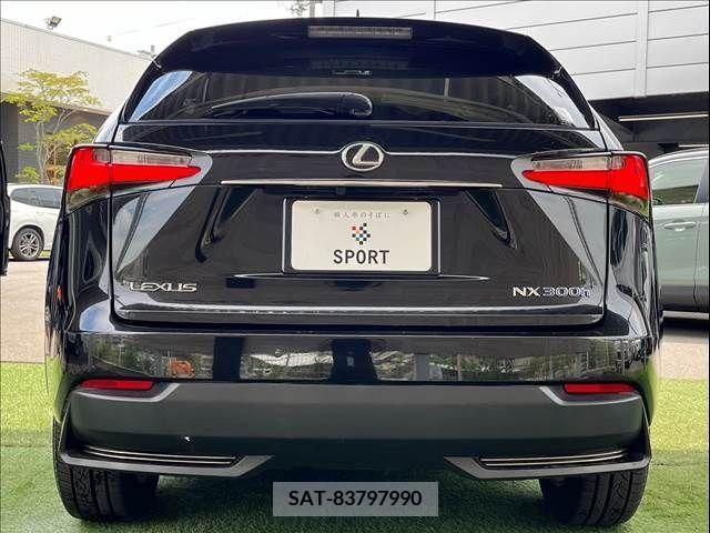 Lexus NX 2015-07 353989-13