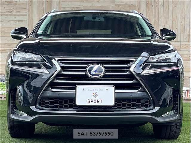 Lexus NX 2015-07 353989-12
