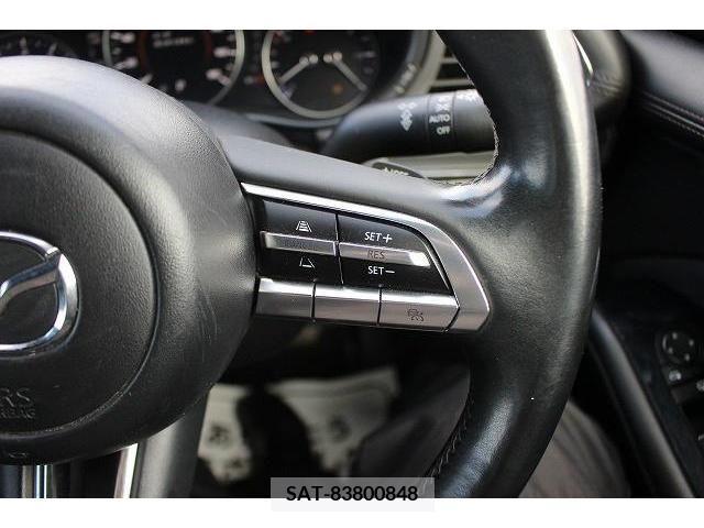 Mazda MAZDA3 2019-08 225481-3