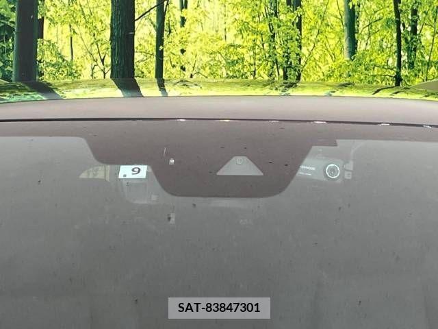 Mazda CX-8 2019-09 383167-4