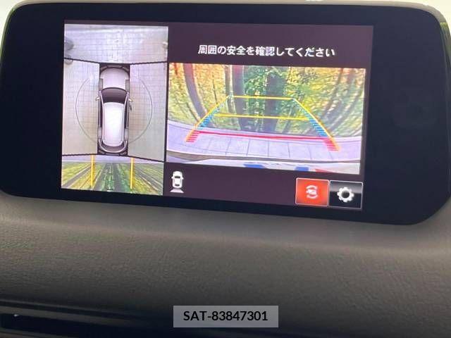 Mazda CX-8 2019-09 383167-3