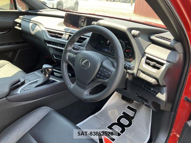 Lexus UX 2019-12 363073-10