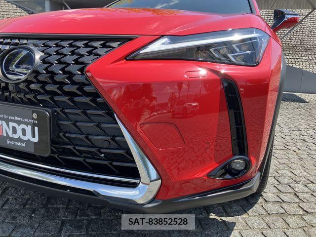 Lexus UX 2019-12 363073-5